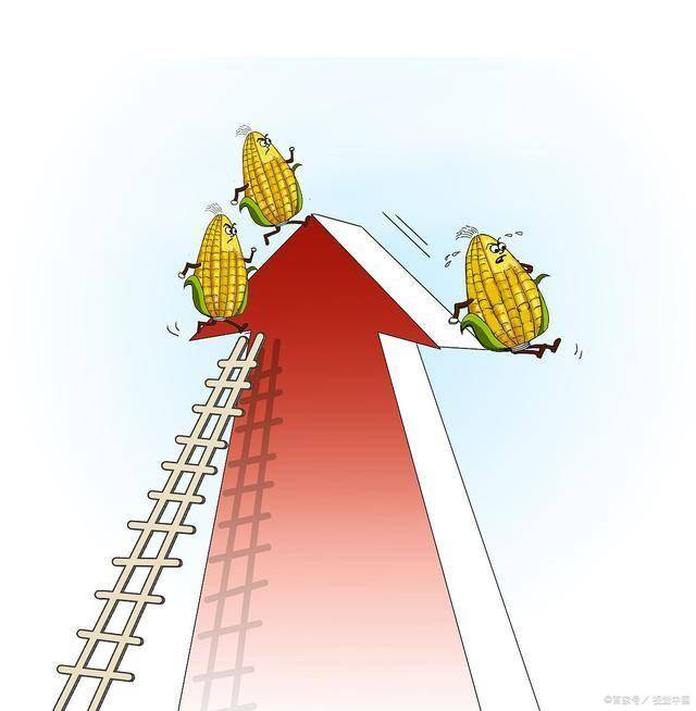 1月8日收盘液化石油气期货资金流出3296.34万元