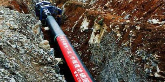 1月10日收盘液化石油气期货持仓较上日减持2919手