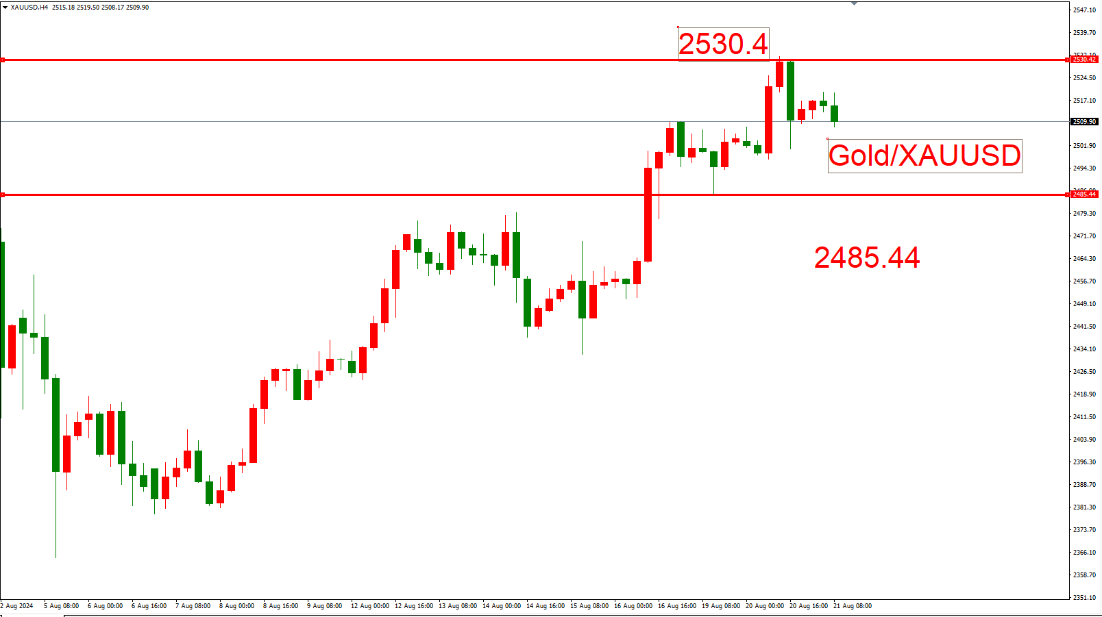 美联储理事：若通胀数据继续向好 今年降息力度可能超出预期