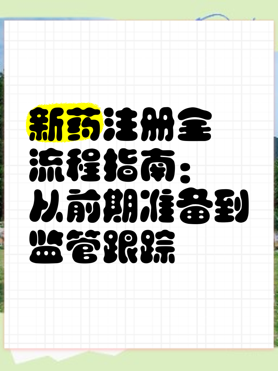减少监管 促进研发 欧盟发布“竞争力指南针”