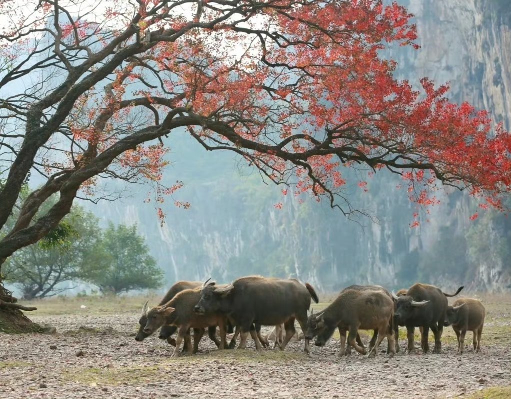 收复7.25！谁在继续推高人民币汇率？业内：人民币需求看涨驱动海外资本平仓空头
