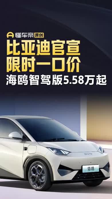 比亚迪海鸥欧洲15国同步上市 5.58万起